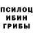 Галлюциногенные грибы MAGIC MUSHROOMS shein shihesu