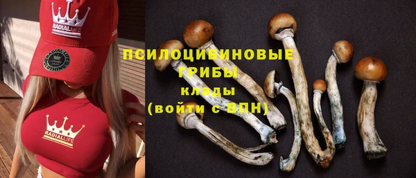 Альфа ПВП Коряжма