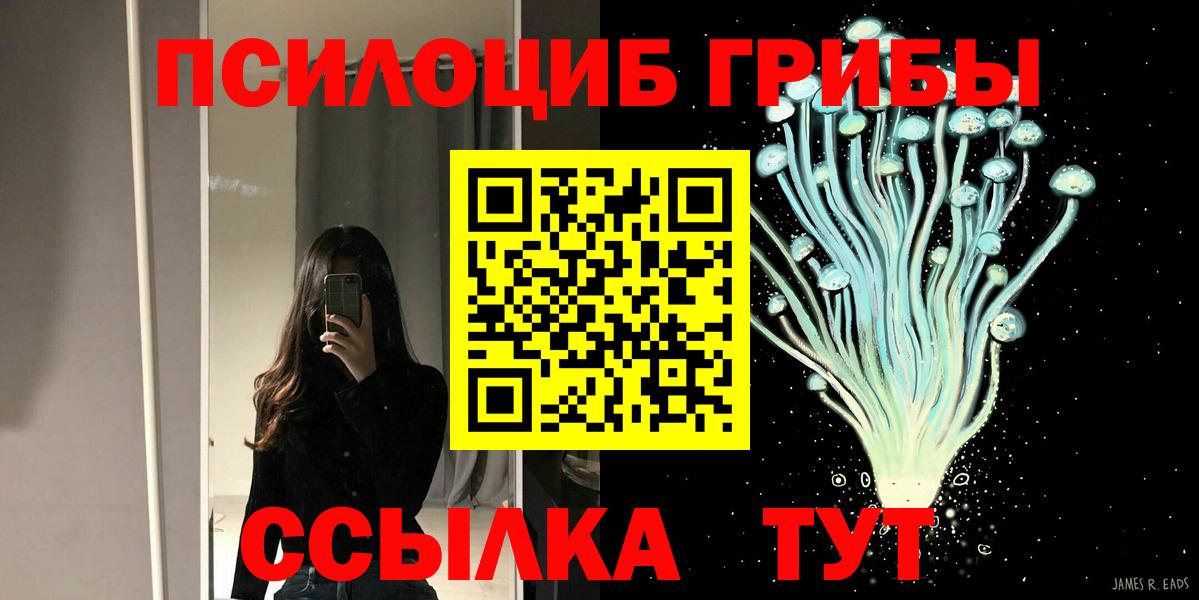 Псилоцибиновые грибы Psilocybe Мелеуз
