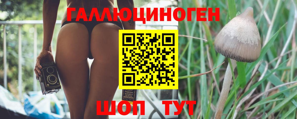 Мелеуз  Псилоцибиновые грибы MAGIC MUSHROOMS  Вход с VPN  Псилоцибиновые грибы прущие грибы 